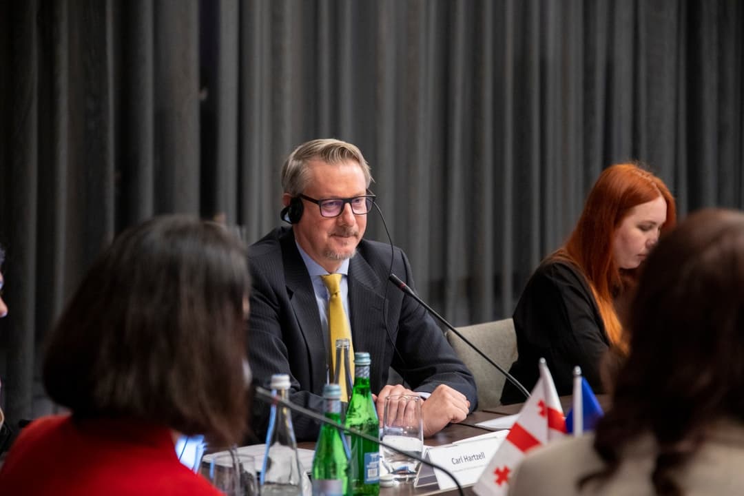 EU Ambassador Hartzell: submitting answers for EU membership bid not a sprint race, quality prevails over speed