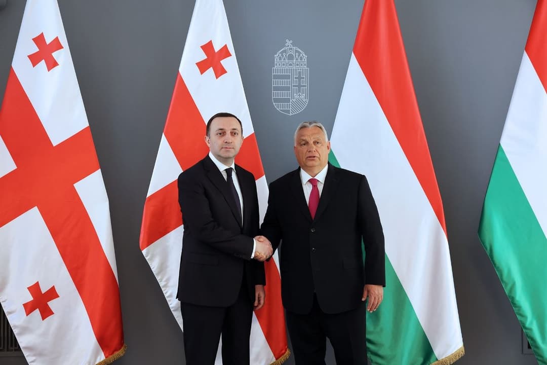 ირაკლი ღარიბაშვილი ვიქტორ ორბანს შეხვდა