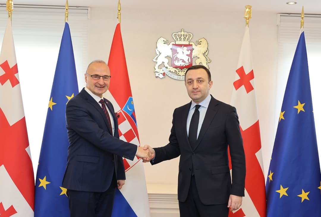 Georgian PM tells Croatian FM his country “deserves” EU candidacy