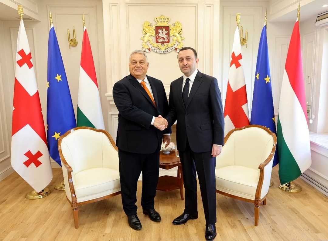 ირაკლი ღარიბაშვილი ვიქტორ ორბანს შეხვდა