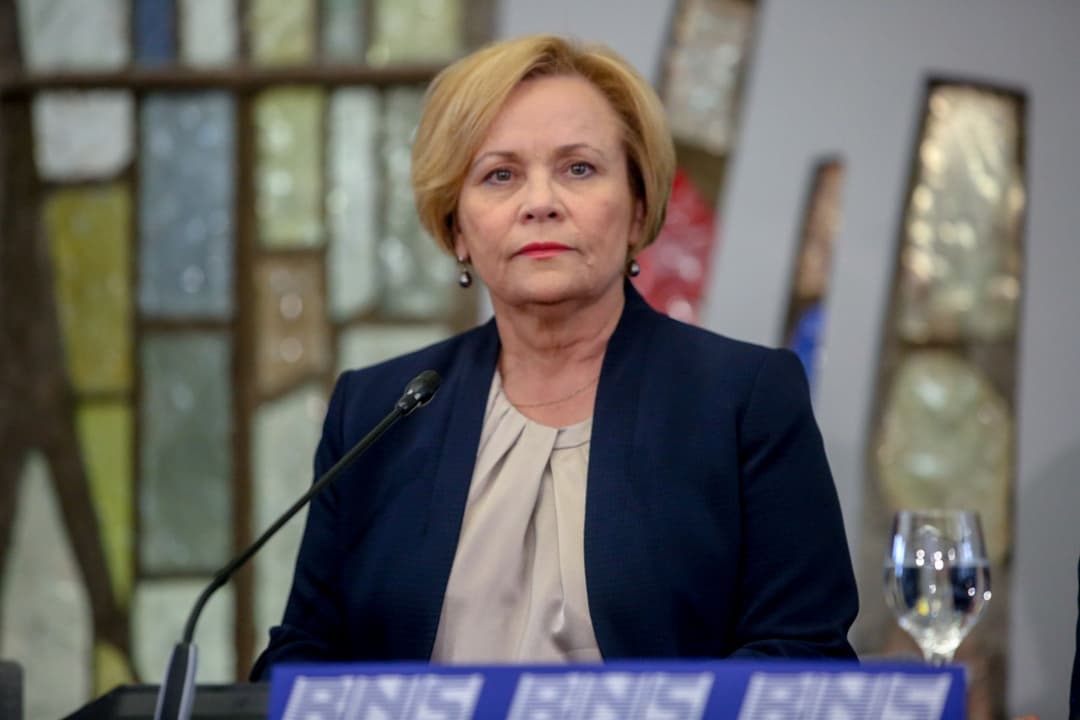 MEP Jukneviciene to Georgian ruling party: de-oligarchization means de-Ivanishvilization