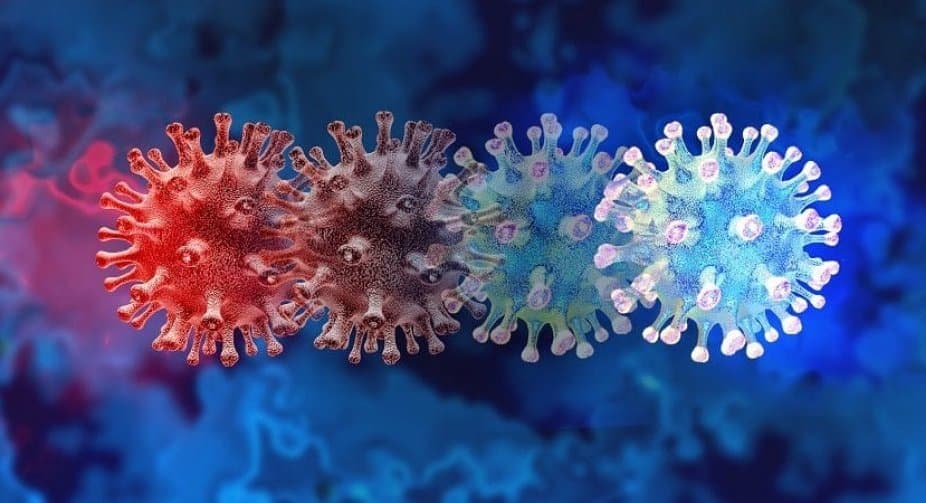 Georgia reports 3,988 new cases of Covid of 53,255 tests