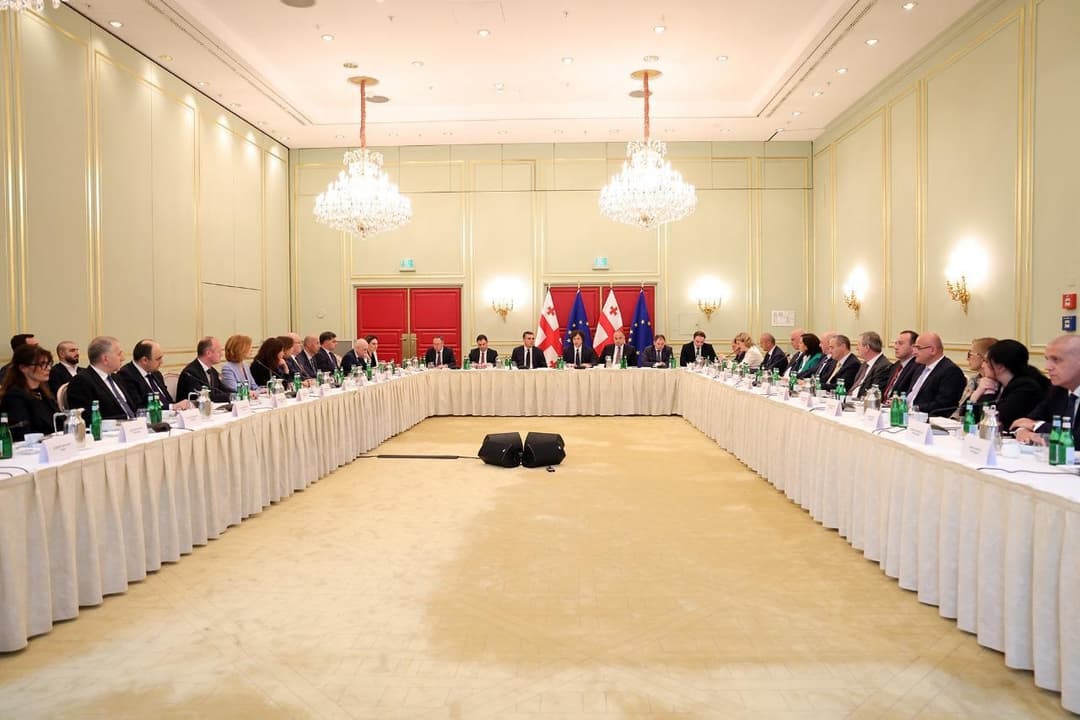 ირაკლი კობახიძე ევროპასა და აშშ-ში საქართველოს ელჩებს შეხვდა