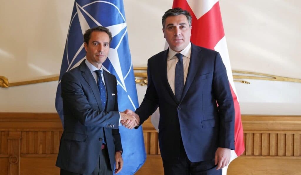 Georgian FM, NATO’s Colomina discuss political, practical cooperation