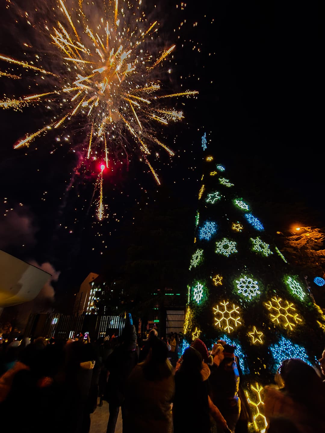 ბორჯომში მთავარი ნაძვის ხე საზეიმოდ აინთო