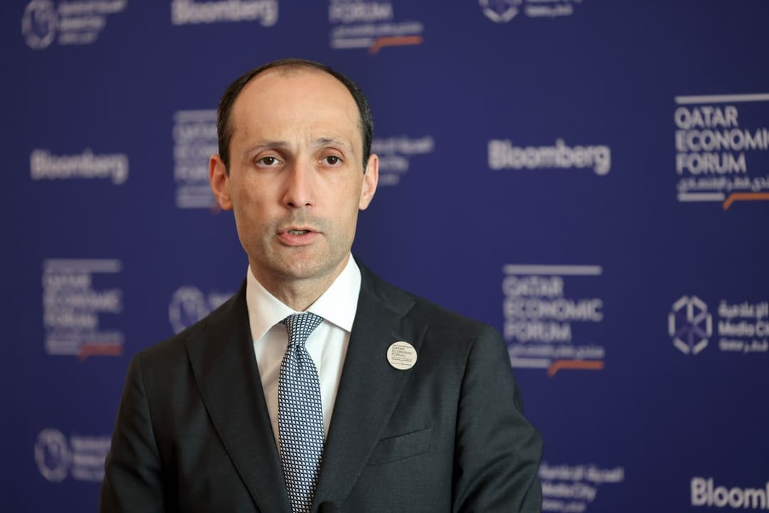 Georgia’s Economy Minister affirms commitment to port projects while “safeguarding national interests”