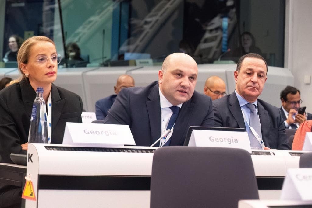 შს მინისტრის მოადგილემ საერთაშორისო კონფერენციაში „გლობალური ალიანსი მიგრანტთა უკანონო გადაყვანის წინააღმდეგ ბრძოლა“ მიიღო მონაწილეობა