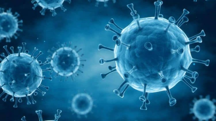 საქართველოში კორონავირუსის 3 382 ახალი შემთხვევა გამოვლინდა, გარდაიცვალა 42 ადამიანი