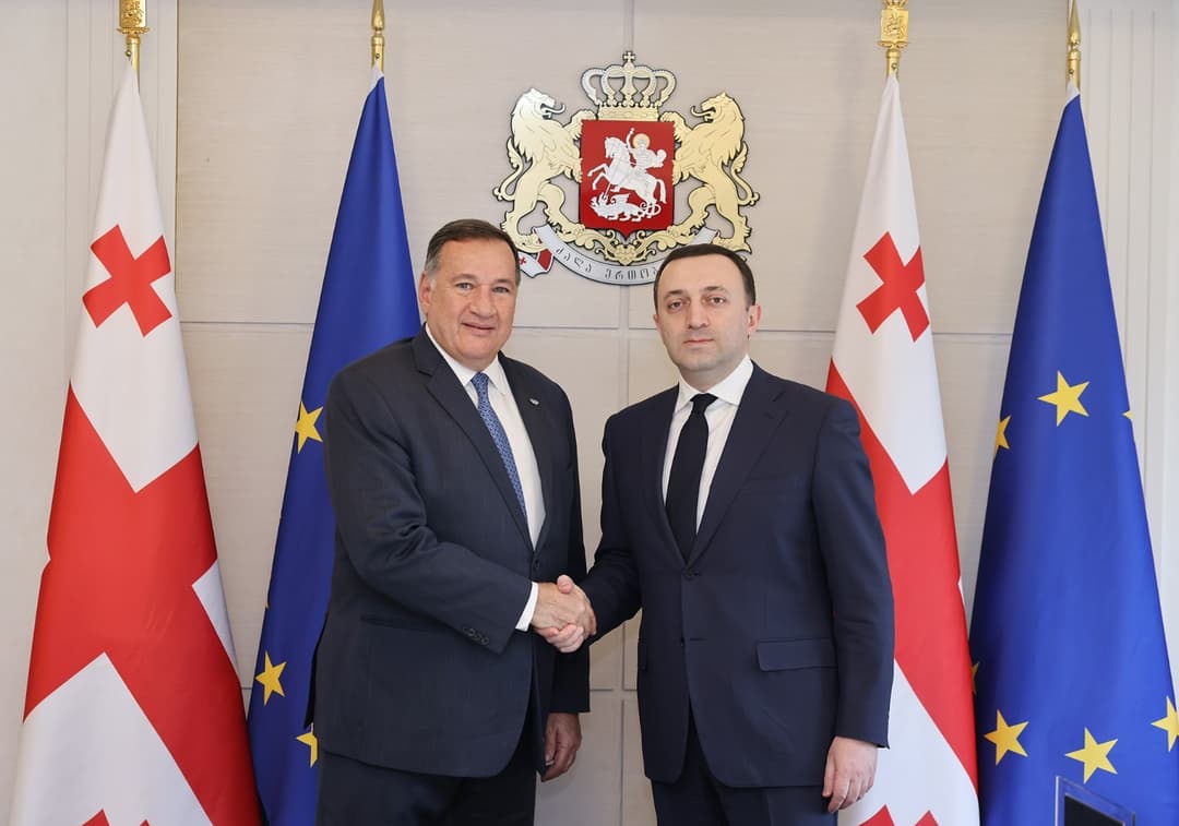 ირაკლი ღარიბაშვილი ევროპის ოლიმპიური კომიტეტის პრეზიდენტს შეხვდა