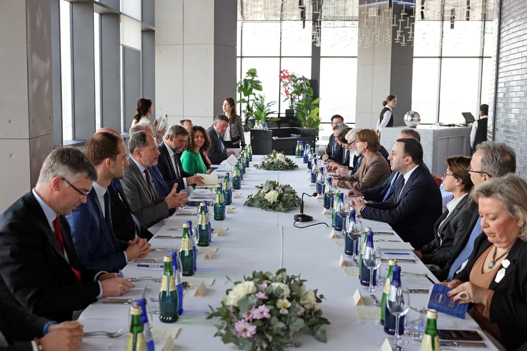 EU diplomats host Georgia PM on a working lunch to discuss country’s European integration