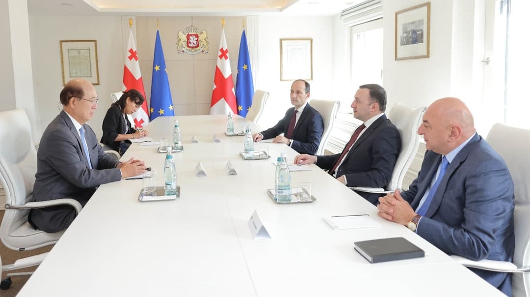 ირაკლი ღარიბაშვილი გაეროს საერთაშორისო საზღვაო ორგანიზაციის (IMO) გენერალურ მდივანს შეხვდა