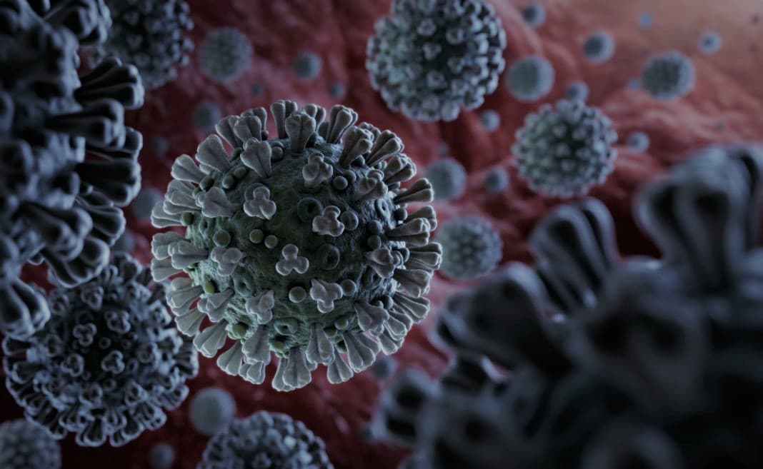 Frontnews image description