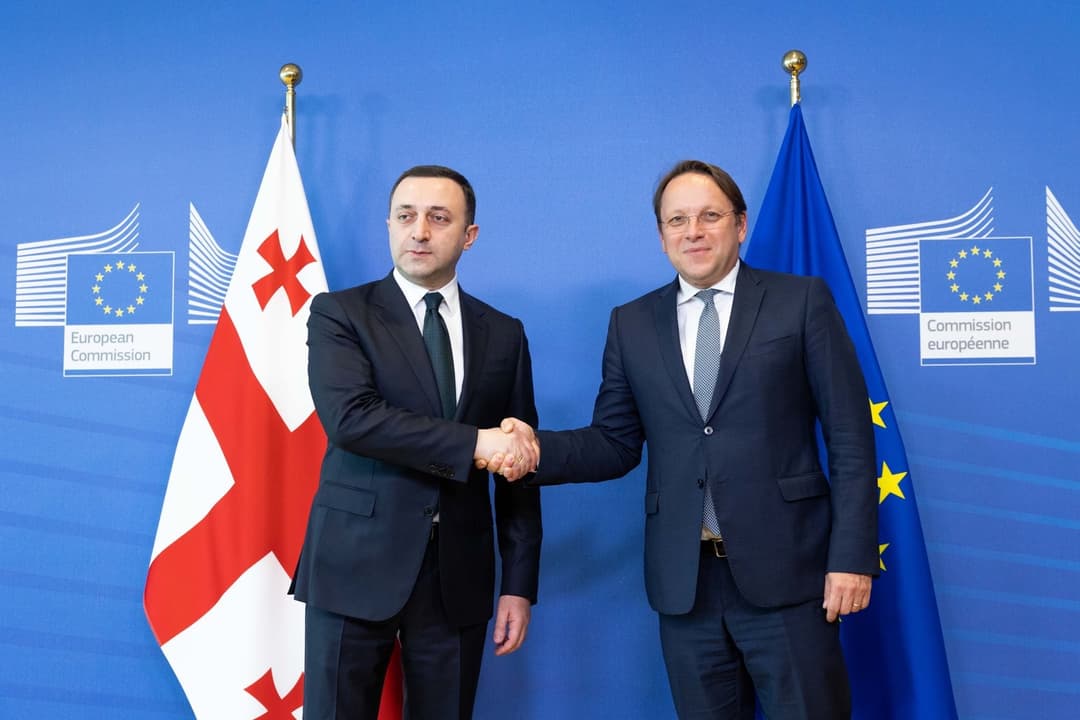 ოლივერ ვარჰეი – შევსებული კითხვარის მიღებიდან მალევე, ევროკომისიამ დასკვნის მომზადება დაიწყო