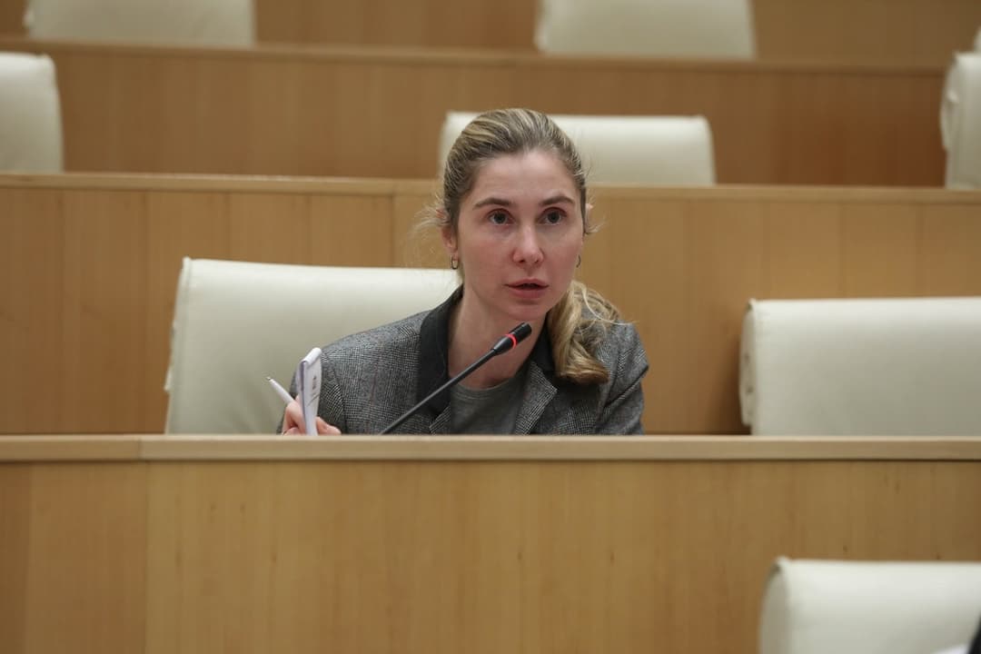 თინა ბოკუჩავა – საქართველოს ჰქონდა შესაძლებლობა, უკრაინასთან ერთად მიეღო გარანტია, რომ მაპ-ის გარეშე სწრაფად გახდებოდა ნატო-ს წევრი