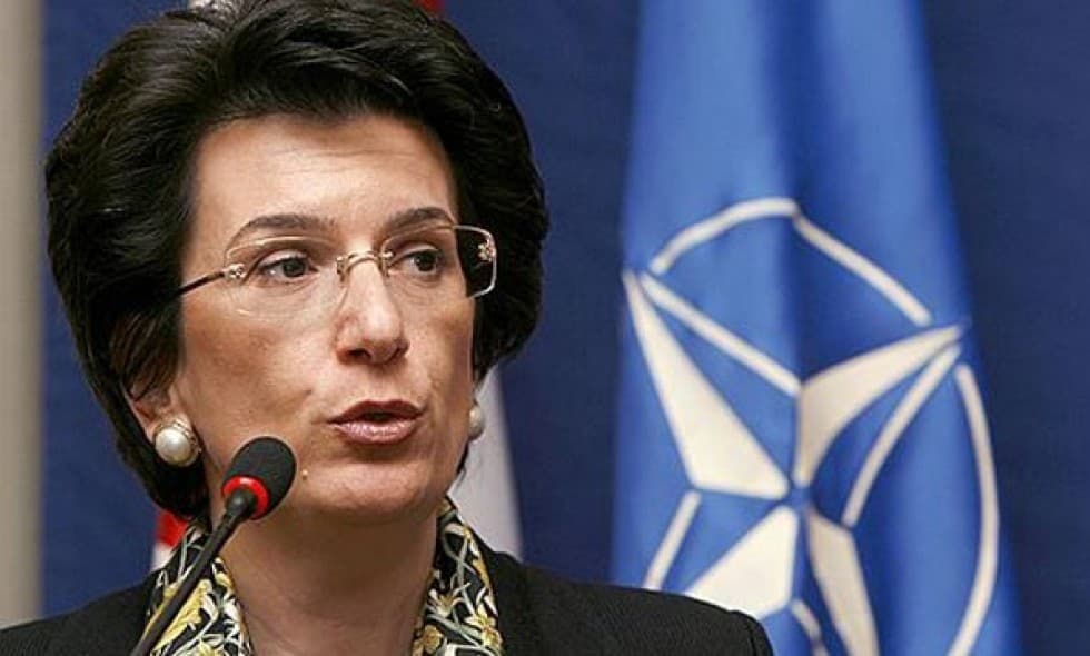 ნინო ბურჯანაძე – დარწმუნებული ვარ, ასეთი სწავლებები კონფრონტაციის და რუსეთის გაღიზიანების გარდა არაფერს მოიტანს