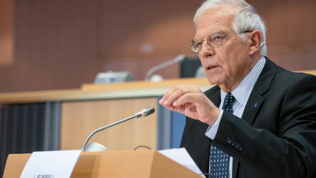 Borrell: Russia violated three fundamental principles in Georgia first, then in Ukraine