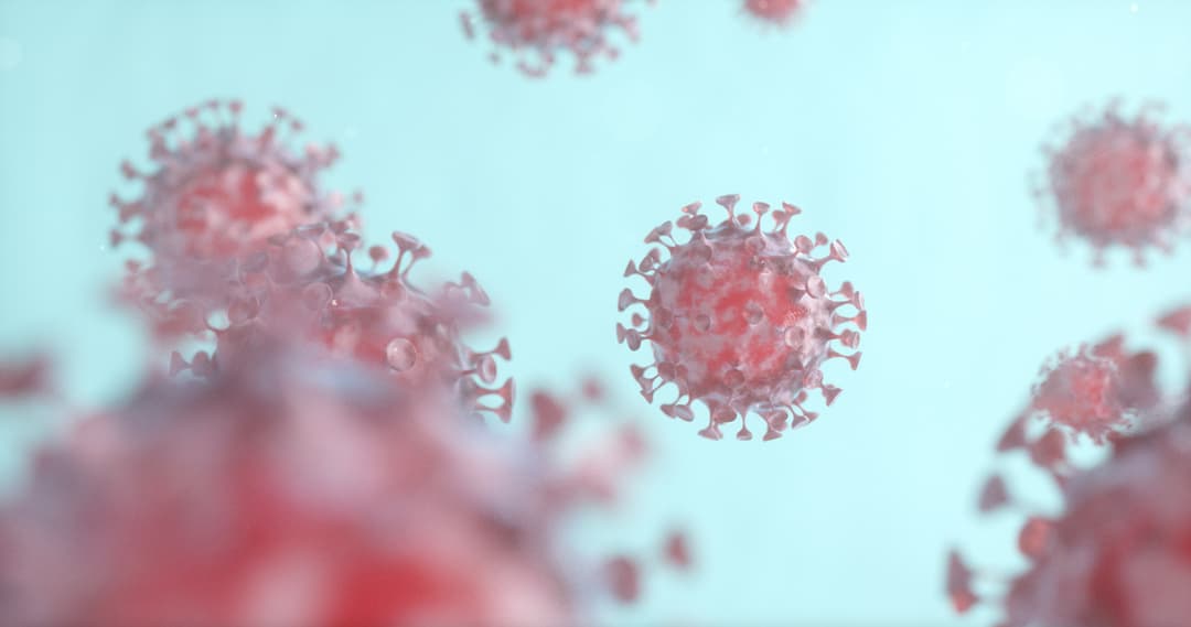 საქართველოში კორონავირუსის 2 514 ახალი შემთხვევა გამოვლინდა, გამოჯანმრთელდა 2 711 ადამიანი