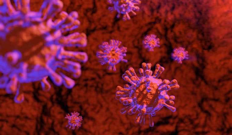 Coronavirus in Georgia: weekly positivity rate down to 6.86%