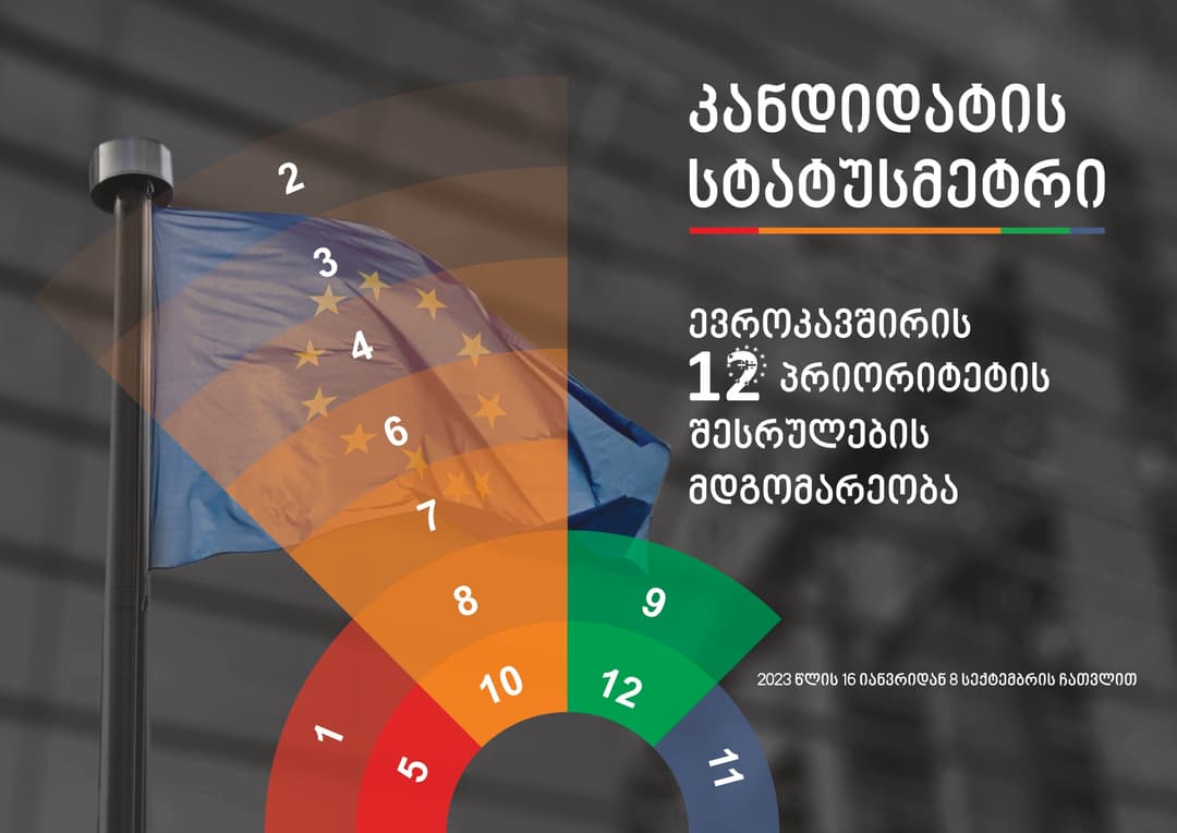 საზოგადოებრივი ორგანიზაციები – სრულად შესრულებულია ერთი პირობა, მეტწილად – ორი, ნაწილობრივ – შვიდი და შესასრულებელია ევროკავშირის ორი პირობა