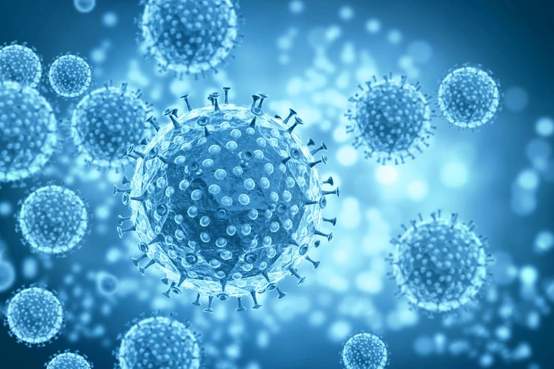 Coronavirus in Georgia: daily cases stand at 22,263, 203,238 remain infected