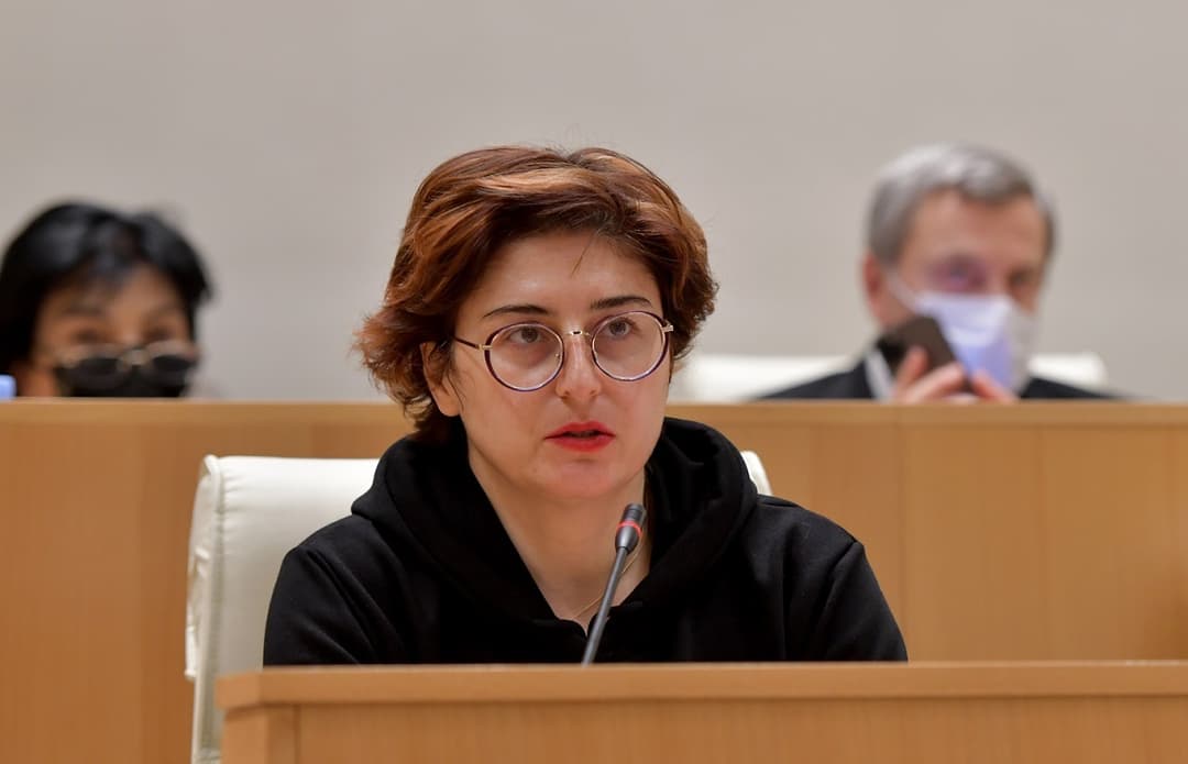 ხათუნა სამნიძე – ერთადერთი შენიშვნა, რომ ჩაწერილიყო „რუსეთის ფედერაცია“, არ გაითვალისწინა „ქართულმა ოცნებამ“