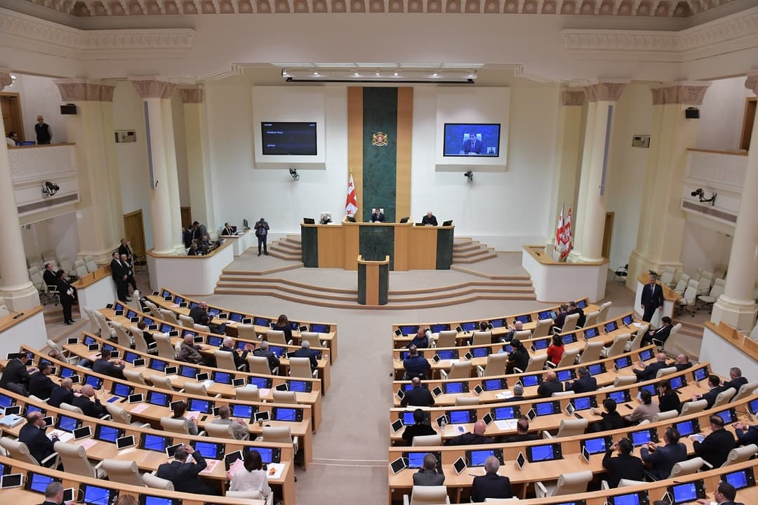 პარლამენტმა დავით სერგეენკოსთვის საქართველოს პარლამენტის წევრის უფლებამოსილების ვადამდე შეწყვეტას მხარი დაუჭირა