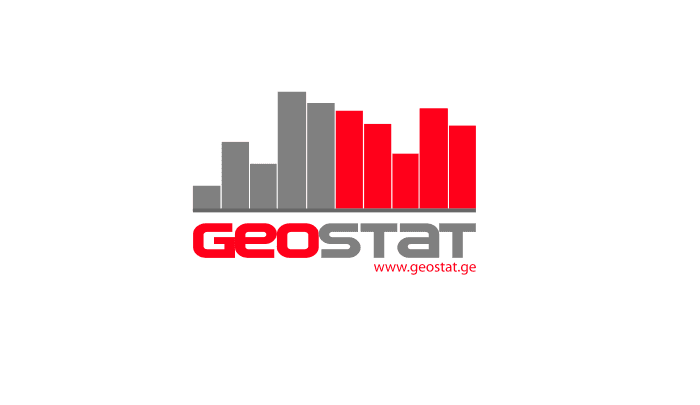 Statistics office announces increase in monthly earnings of Georgians