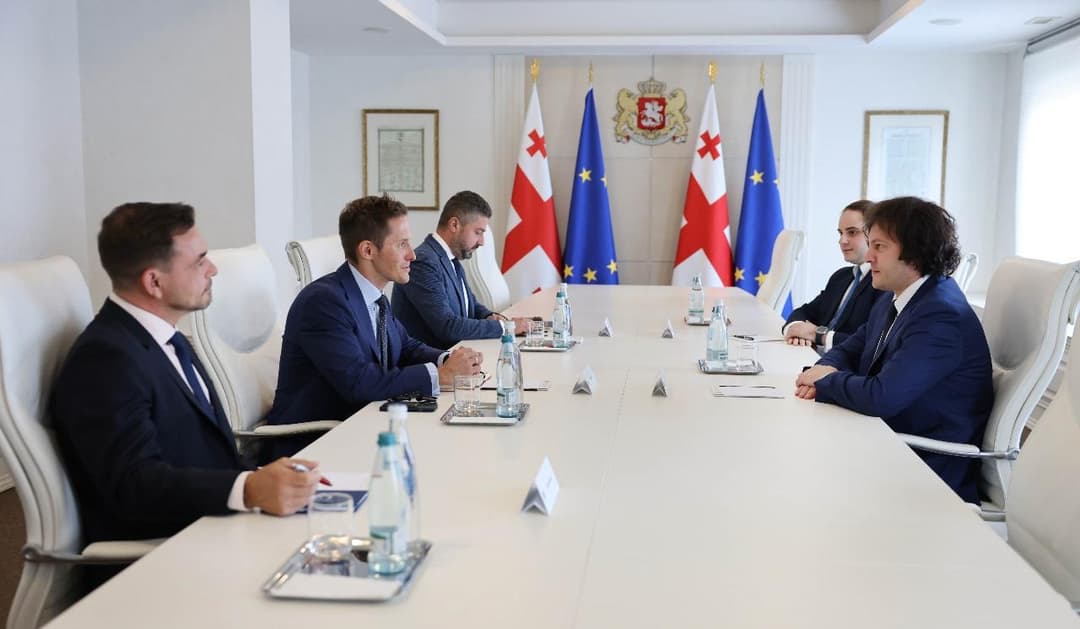 ირაკლი კობახიძე IRI-ის საქართველოს პროგრამის დირექტორს შეხვდა