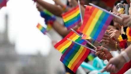 LGBT+ community in Georgia faces problem despite legal guarantees – ombudsperson