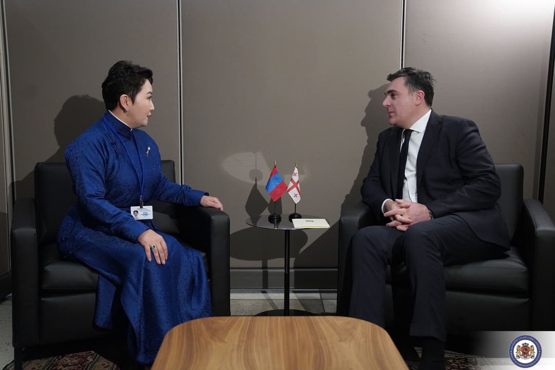 ილია დარჩიაშვილი მონღოლეთის საგარეო საქმეთა მინისტრს შეხვდა