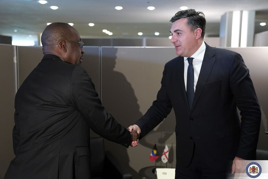 ილია დარჩიაშვილი შრი-ლანკის და ანტიგუა-ბარბუდის საგარეო საქმეთა მინისტრებს შეხვდა