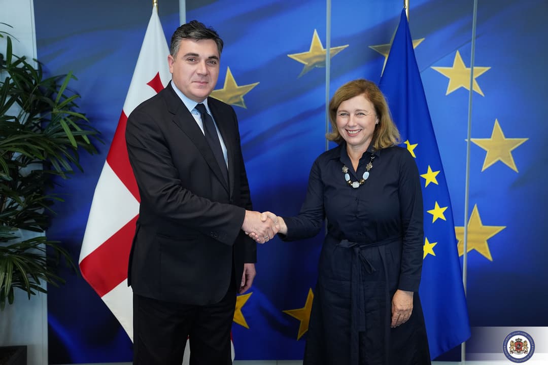 ილია დარჩიაშვილი ევროკომისიის ვიცე-პრეზიდენტს ვერა იუროვას შეხვდა