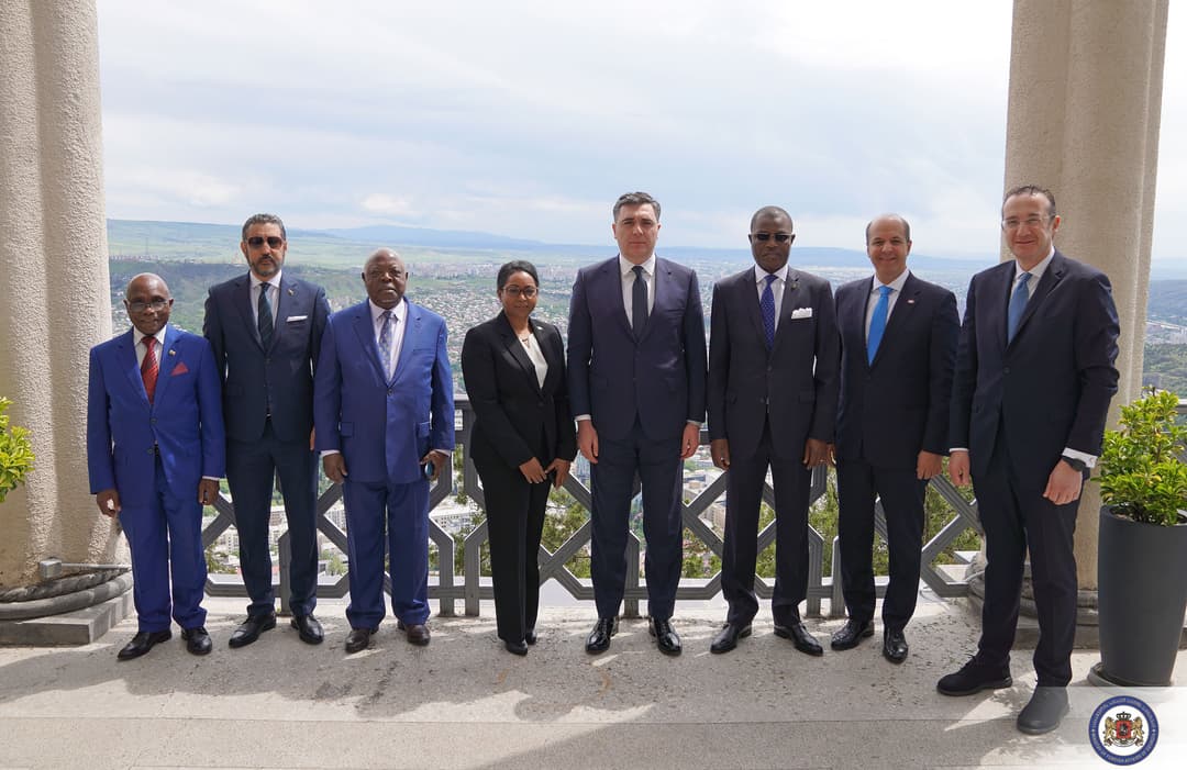 საქართველოს გაეროში სხვადასხვა ქვეყნის მუდმივი წარმომადგენლები სტუმრობენ