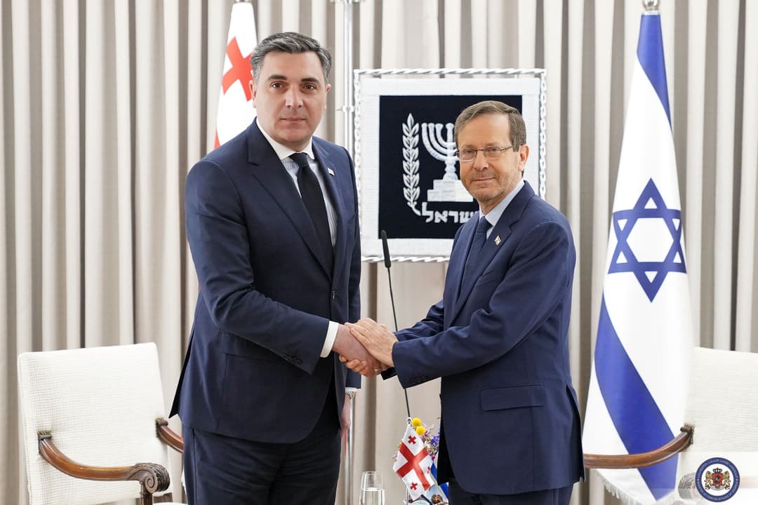 ილია დარჩიაშვილი ისრაელის პრეზიდენტს შეხვდა