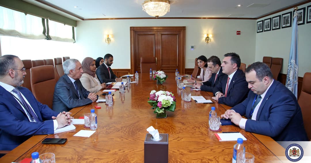 ილია დარჩიაშვილი გაერო-ს გენერალური ასამბლეის 77-ე სესიის ფარგლებში კოლეგა მინისტრებთან ორმხრივ შეხვედრებს მართავს