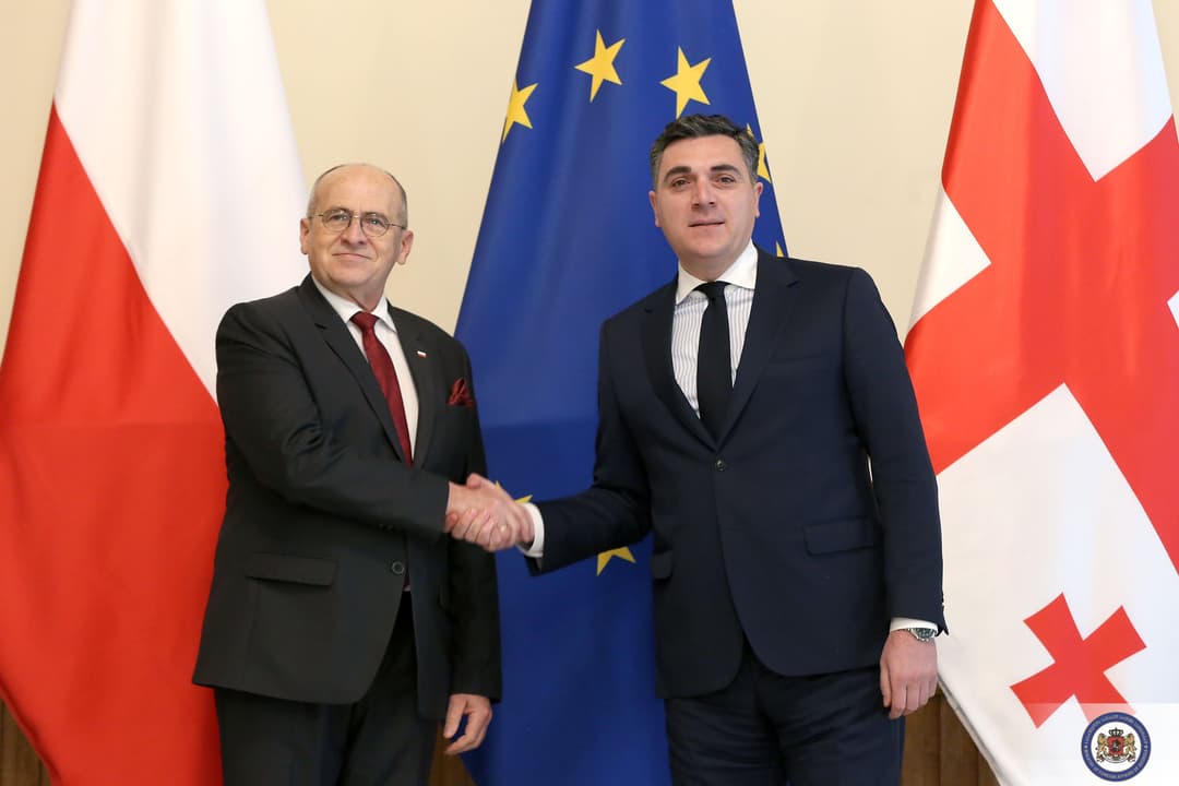ილია დარჩიაშვილი – პოლონეთის სახით საქართველოს ძლიერი და საიმედო მხარდამჭერი ჰყავს