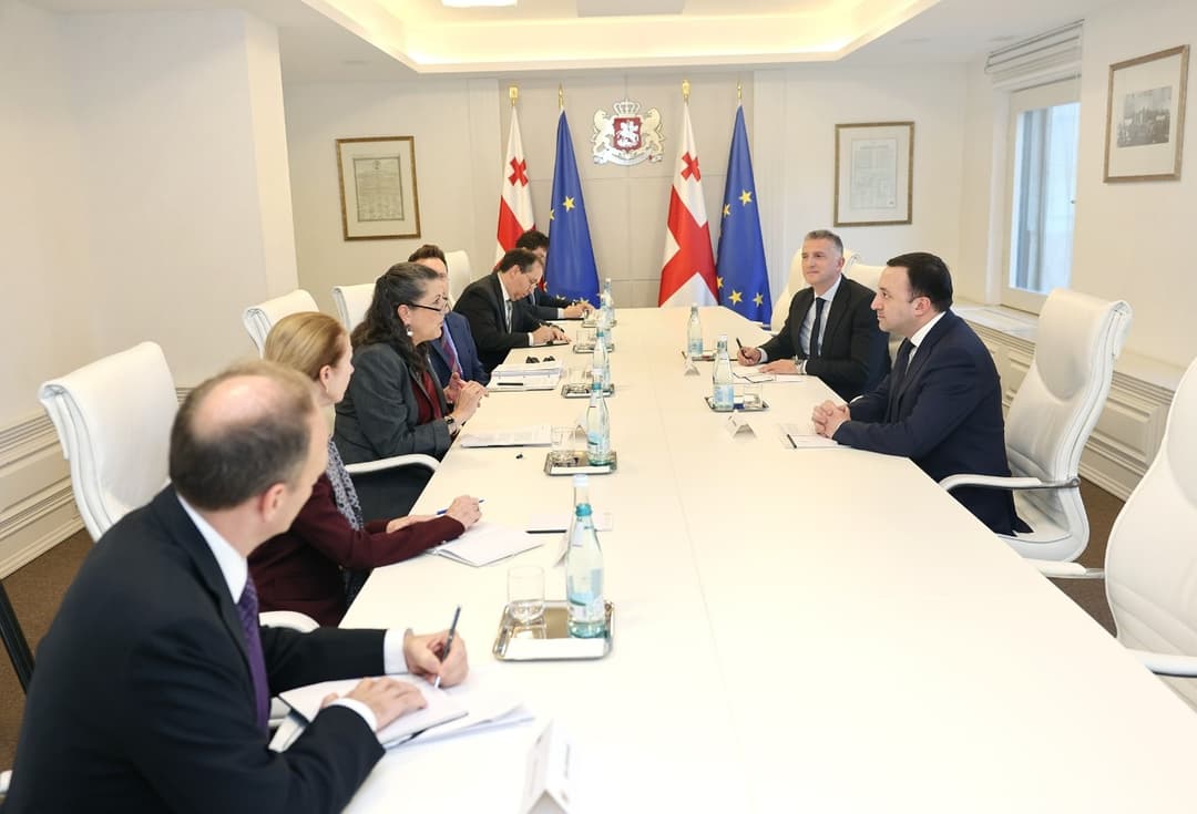 ირაკლი ღარიბაშვილი USAID-ის ადმინისტრატორის მოადგილეს შეხვდა