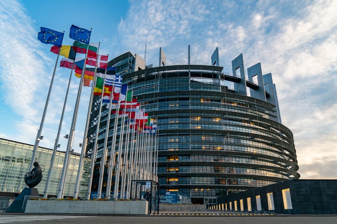 EP adopts resolution on violations of media freedom in Georgia, containing calls to sanction Ivanishvili