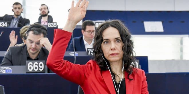 MEP Lexmann calls for “targeted sanctions” on Ivanishvili