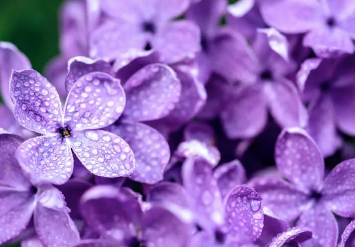 18-20 აპრილს მოსალოდნელი ამინდი საქართველოში