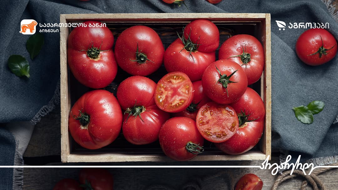 “საქართველოს ბანკთან” პარტნიორობით “აგროჰაბმა“ სასათბურე მეურნეობა მოაწყო