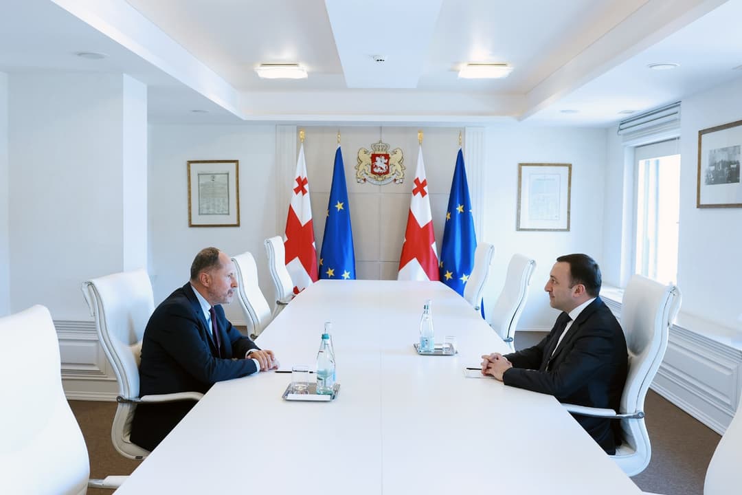 Georgian PM meets new EU Ambassador