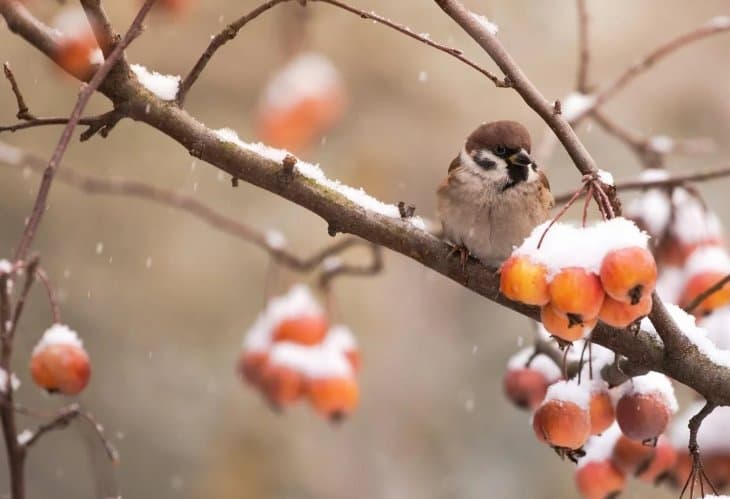 20-22 ნოემბერს მოსალოდნელი ამინდი საქართველოში