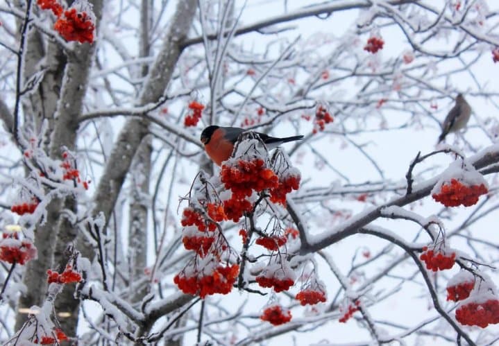 Frontnews image description