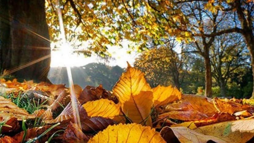 9 დეკემბრამდე მოსალოდნელი ამინდი საქართველოში