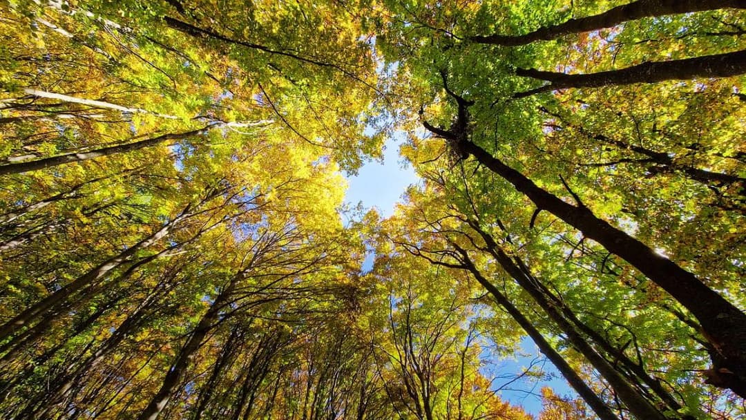 10-12 სექტემბერს მოსალოდნელი ამინდი საქართველოში