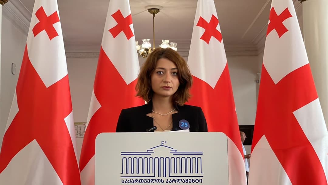 ანა ბუჩუკური – “ოცნება” გახარიას გუნდის წევრების, მხარდამჭერების და მათი ოჯახის წევრების პოლიტიკურ დევნას განაგრძობს