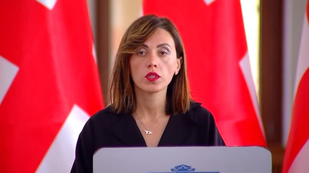 ანა წითლიძე – ამ საკანონმდებლო ინიციატივის მიზანი არის საქართველოს ევროპული კურსის საბოტაჟი