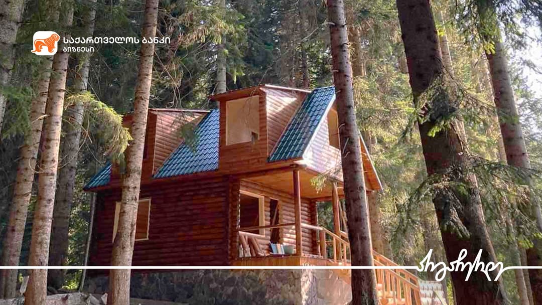 “საქართველოს ბანკთან” პარტნიორობით საოჯახო სასტუმრო “შოვი აპოლონი“ ფართოვდება