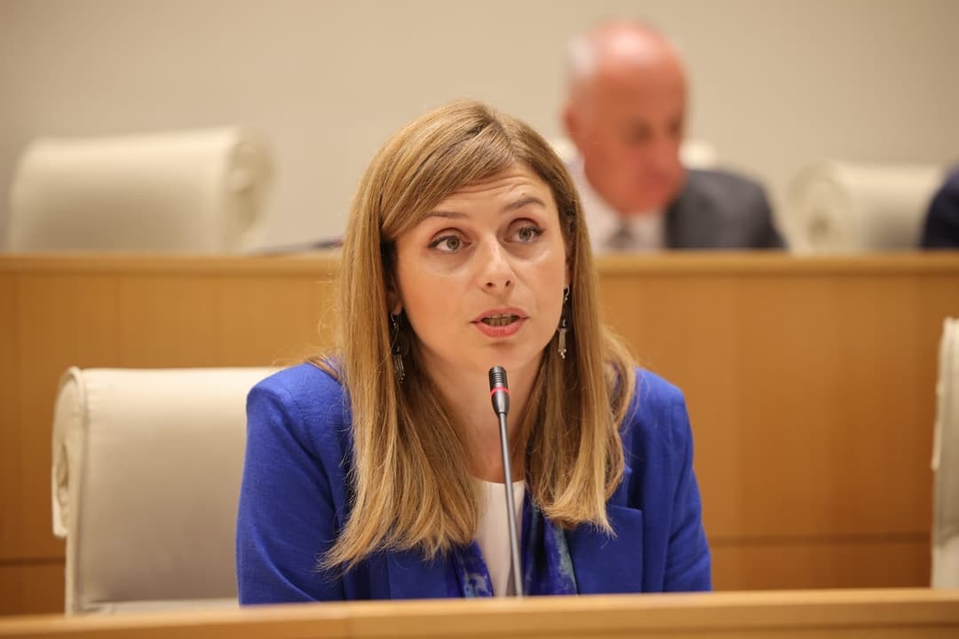 თეონა აქუბარდია – არც ერთი სიტყვა ამ პროგრამაში არ გითქვამთ, რომ შეიმუშავებთ საერთო ეროვნულ ხედვას დეოკუპაციასთან დაკავშირებით